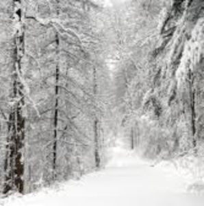 Meet your Posher, Noa